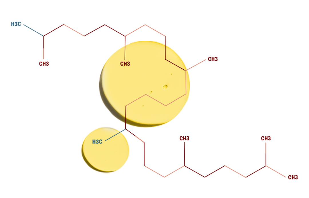 Squalane molecule and texture pattern
