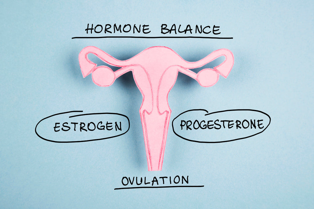 Photo of Uterus with text on top written Hormone balance and Estrogen on the left and progresterone on the right, and also including Ovulation a the bottom