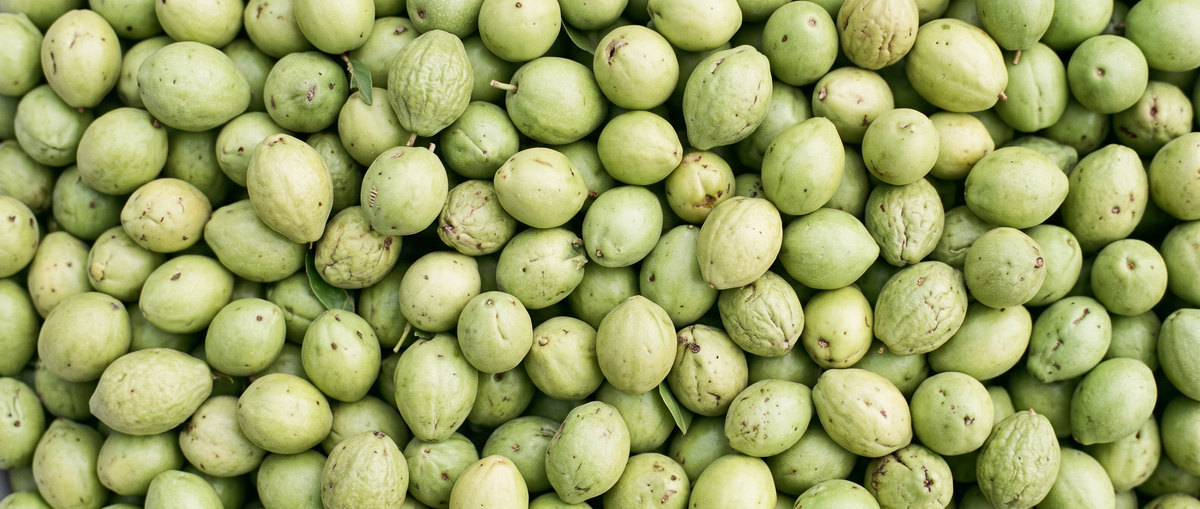Kakadu Plum Oil